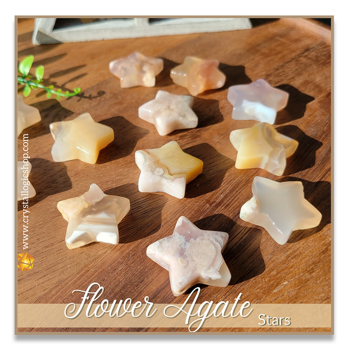 Agate Type: st. louis stars